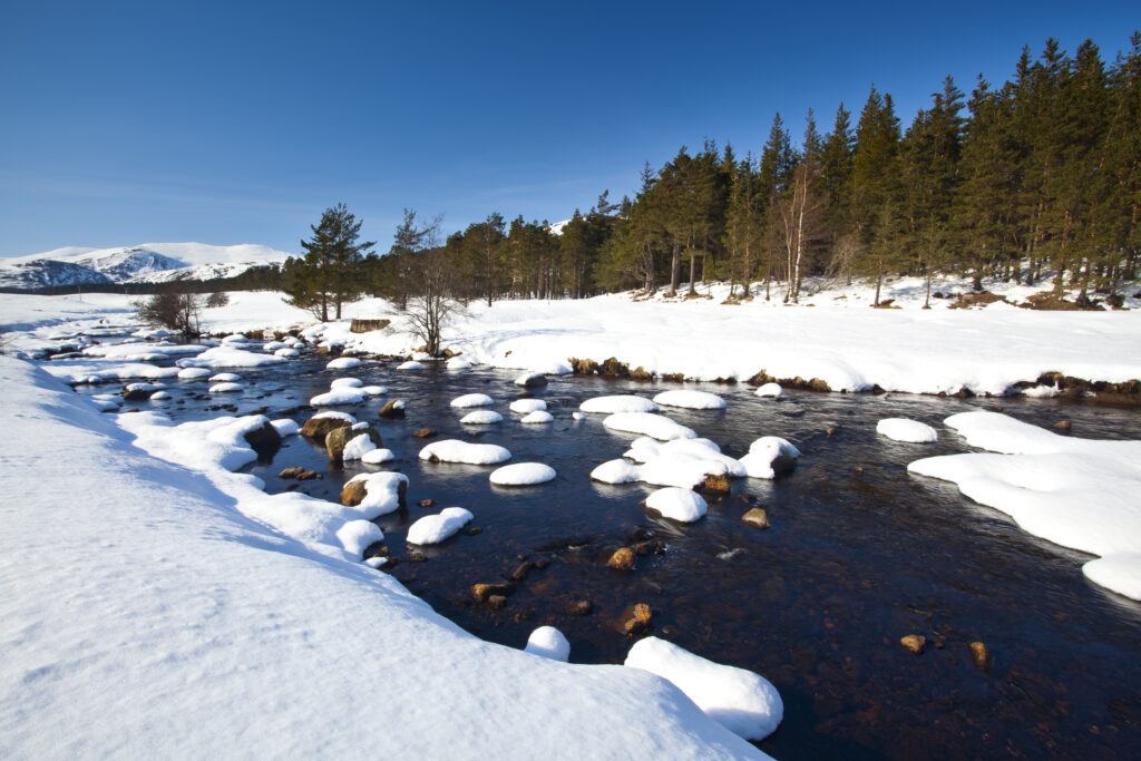Scotland, Scottish Highlands, Cairngorms National Park.