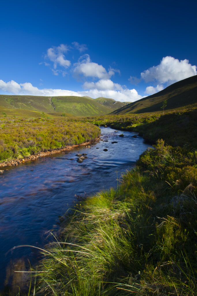 Scotland, Scottish Highlands, Cairngorms National Park.