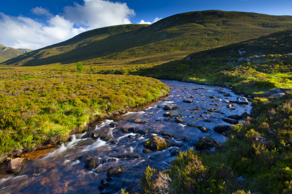 Scotland, Scottish Highlands, Cairngorms National Park.