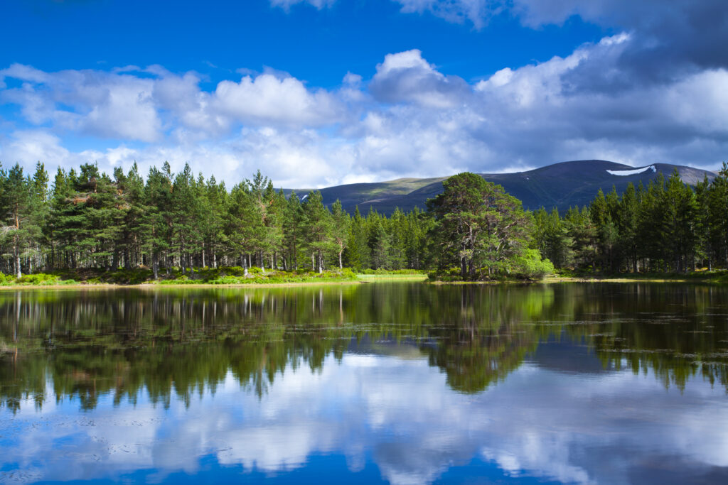 Scotland, Scottish Highlands, Cairngorms National Park.