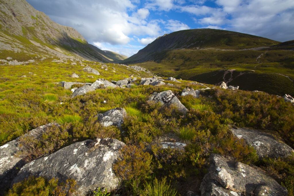 Scotland, Scottish Highlands, Cairngorms National Park.