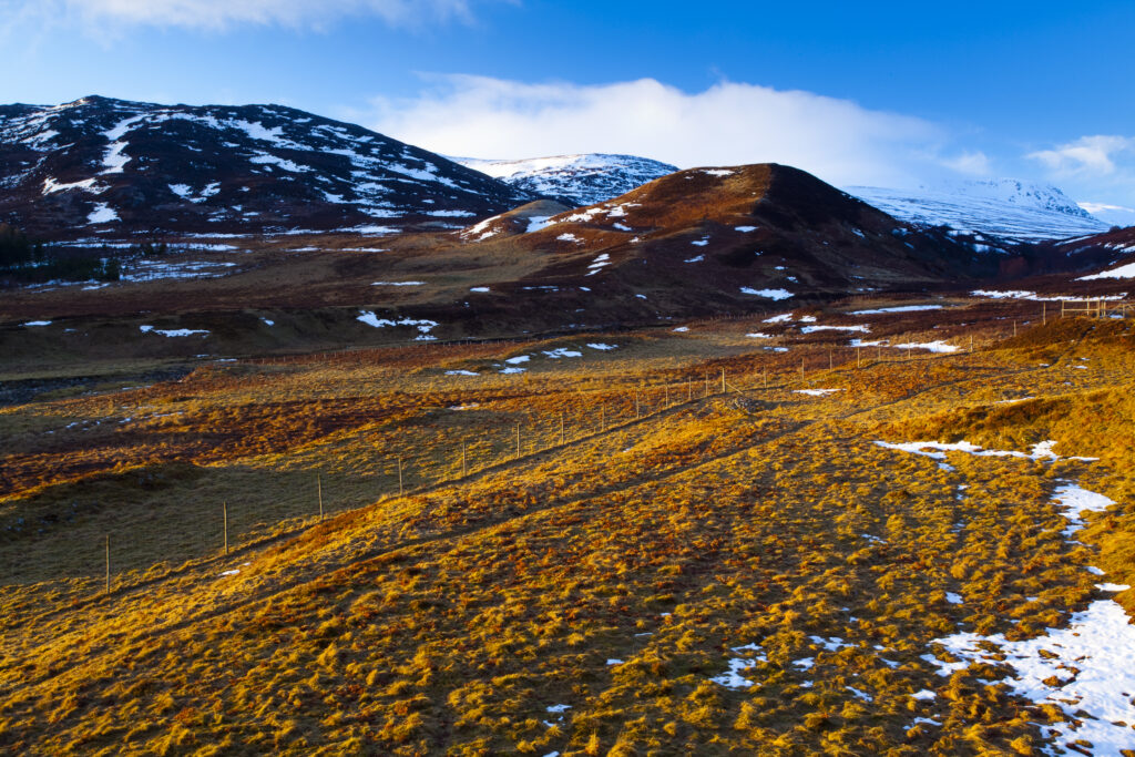 Scotland, Scottish Highlands, Cairngorms National Park.