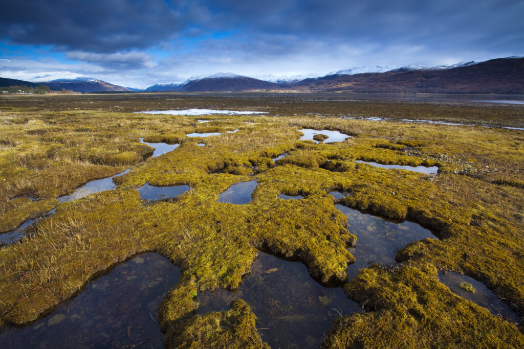 Scotland, Scottish Highlands, Glen Carron.
