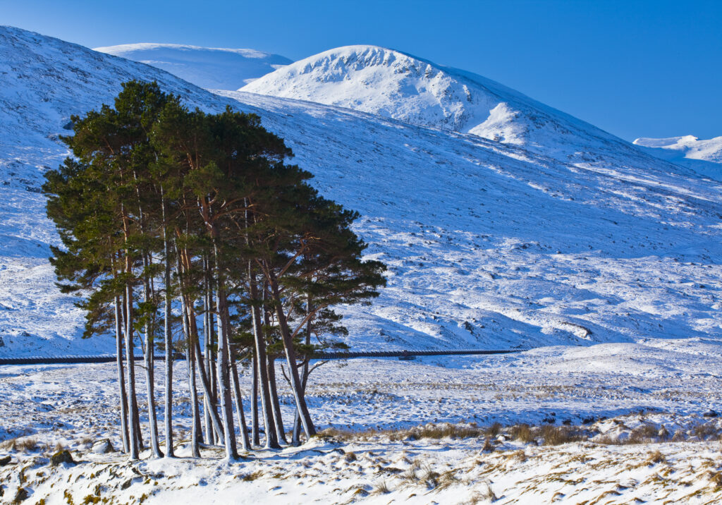 Scotland, Scottish Highlands, Dirrie More.