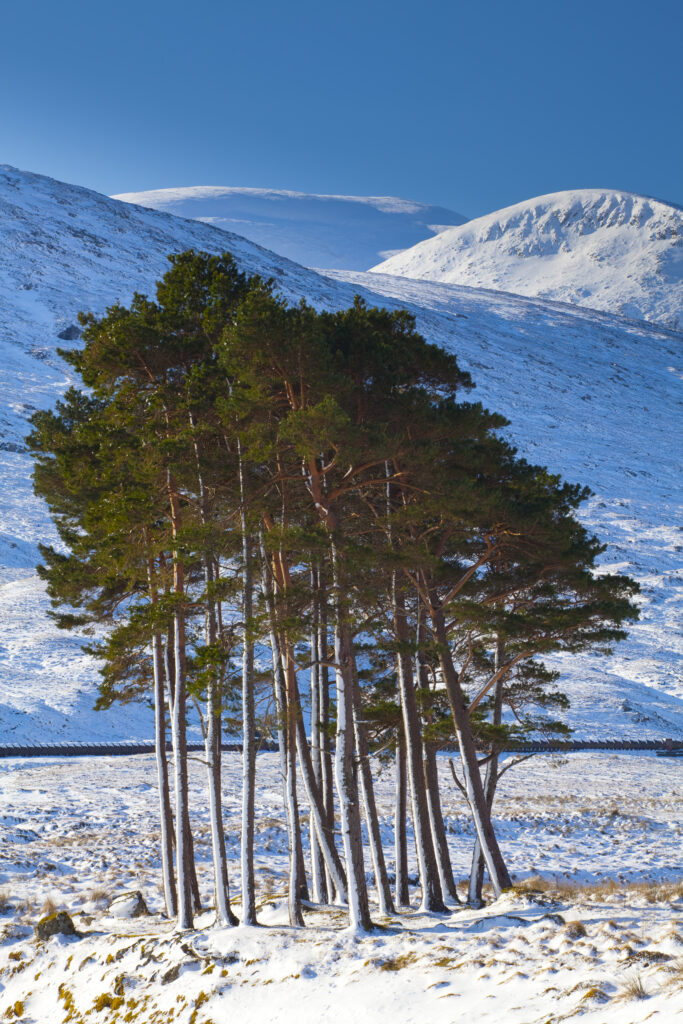 Scotland, Scottish Highlands, Dirrie More.