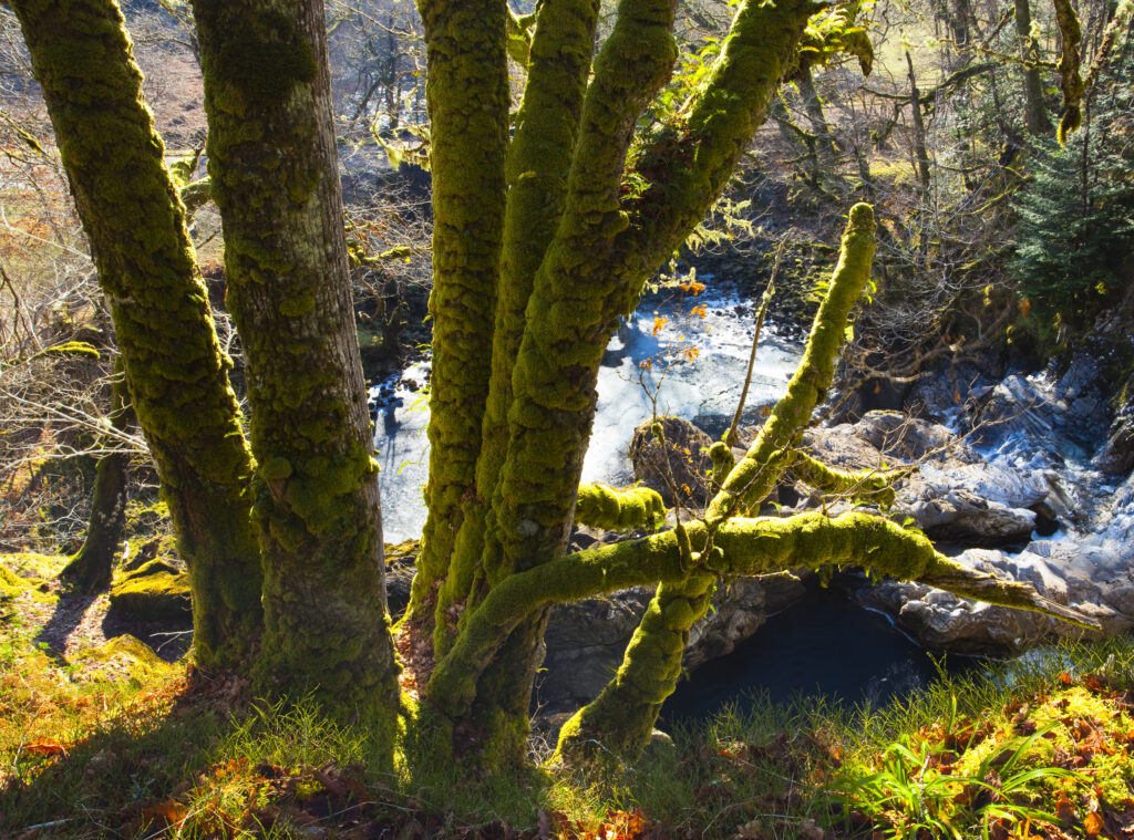Scotland, Scottish Highlands, Eas Chia-aig waterfall.