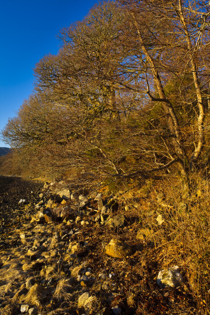 Scotland, Scottish Highlands, Loch Etive.