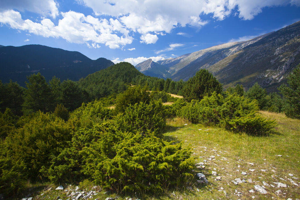 Spain, Catalonia, Pyrenees, Gósol.