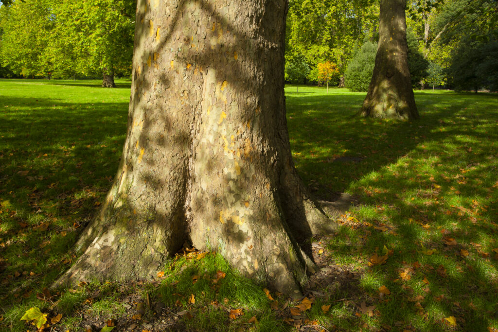 England, Greater London, Hyde Park.