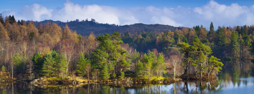 England, Cumbria, Lake District National Park.