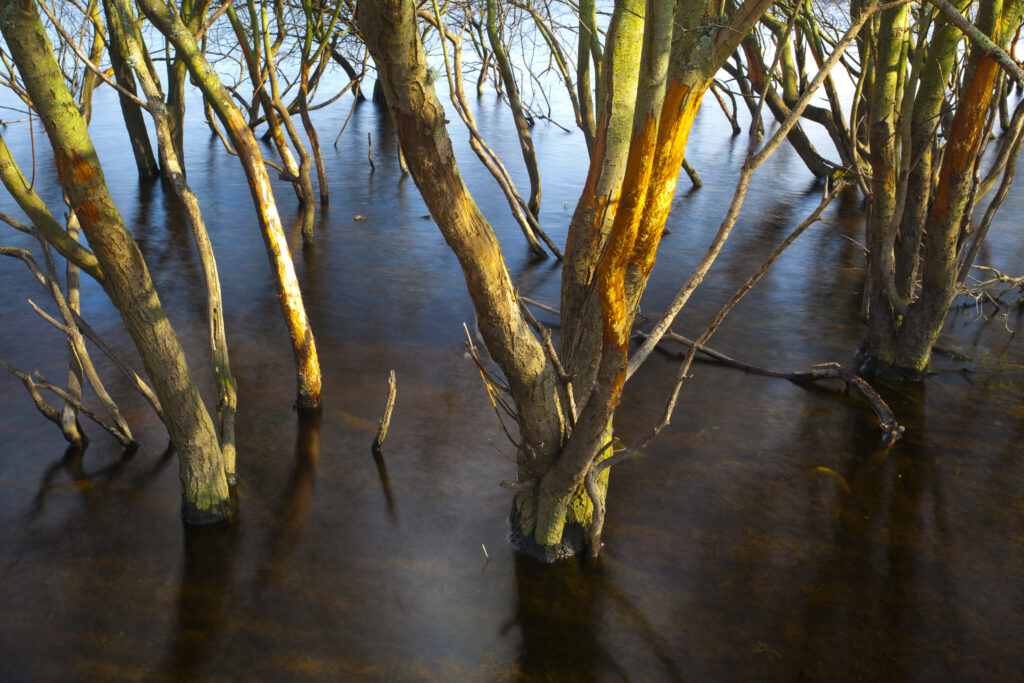 England, Northumberland / County Durham, Derwent Reservoir.