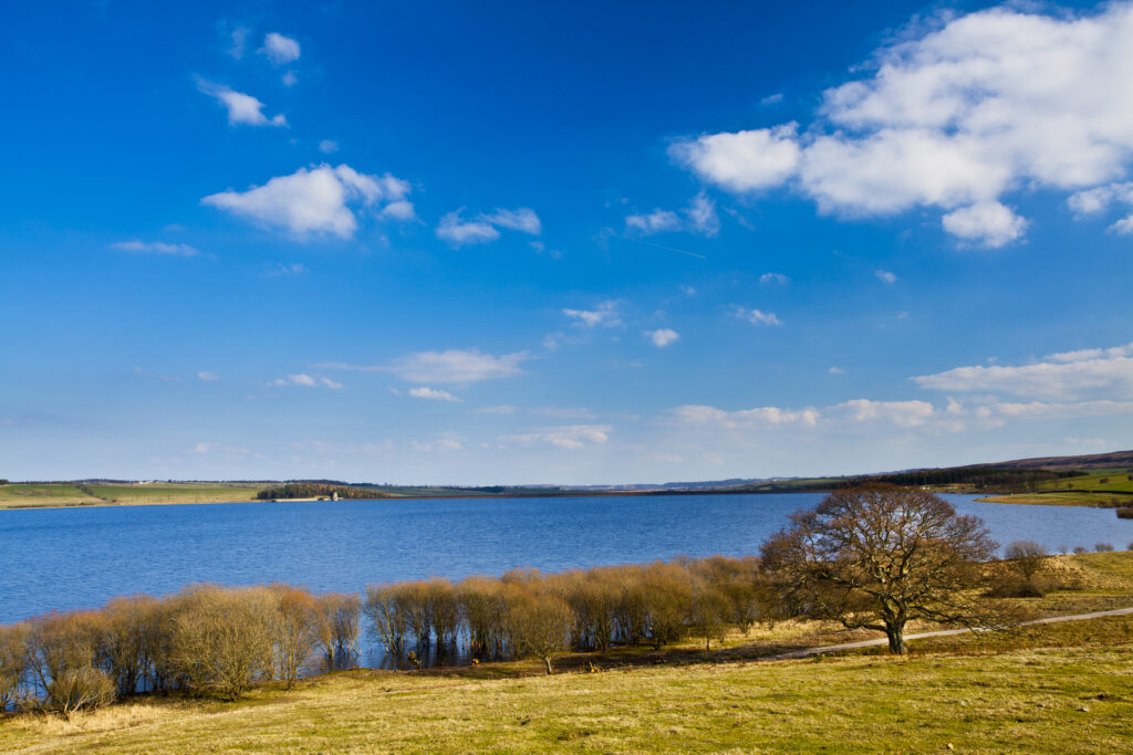England, Northumberland / County Durham, Derwent Reservoir.