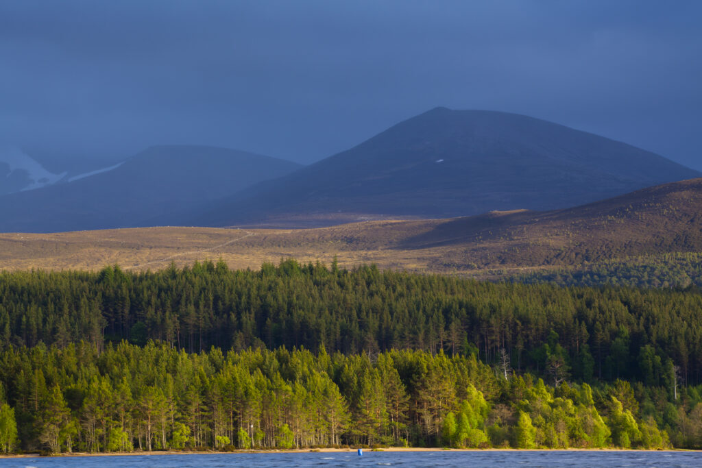 Scotland, Scottish Highlands, Cairngorms National Park.