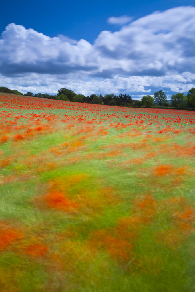 England. Northumberland, Corbridge.