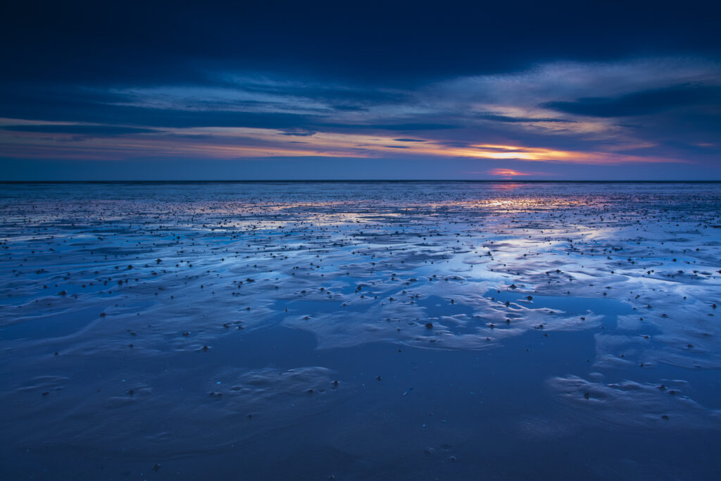 England, Northumberland, Goswell Sands.
