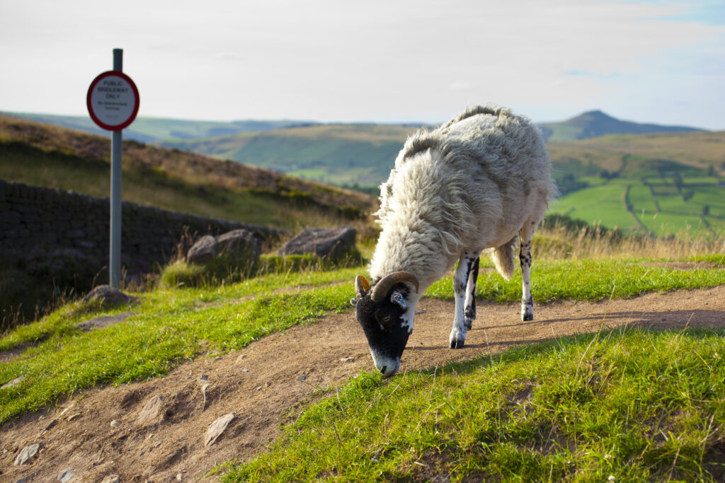 England, Staffordshire, Peak District National Park.