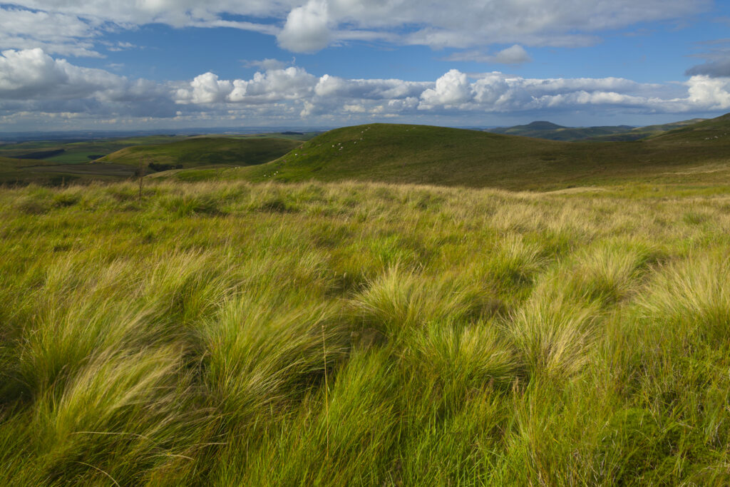 Scotland, Scottish Borders, English Border / Northumberland Nati