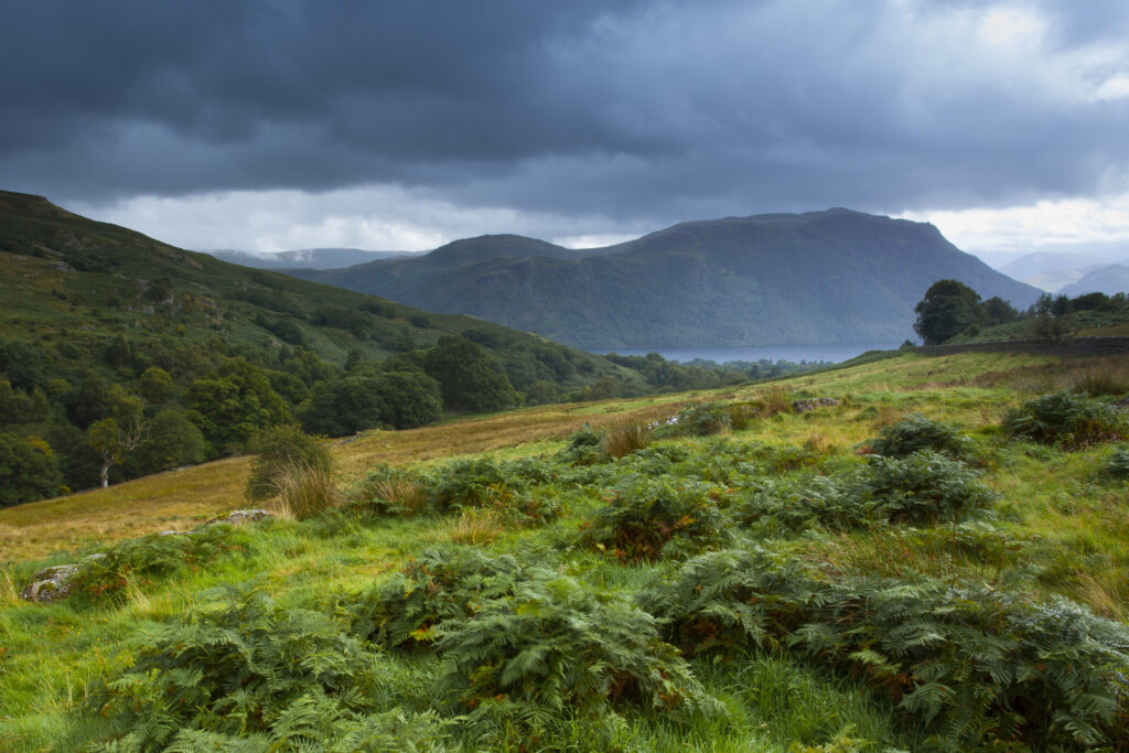 England, Cumbria, Lake District National Park.