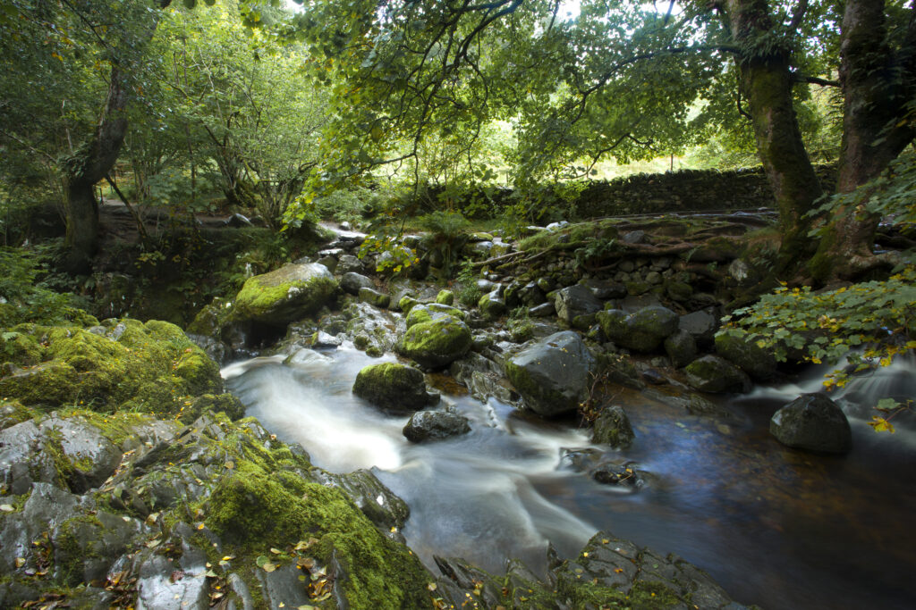 England, Cumbria, Lake District National Park.