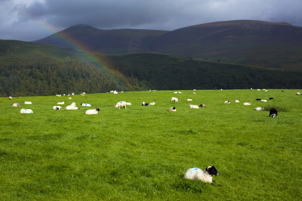 England, Cumbria, Lake District National Park.
