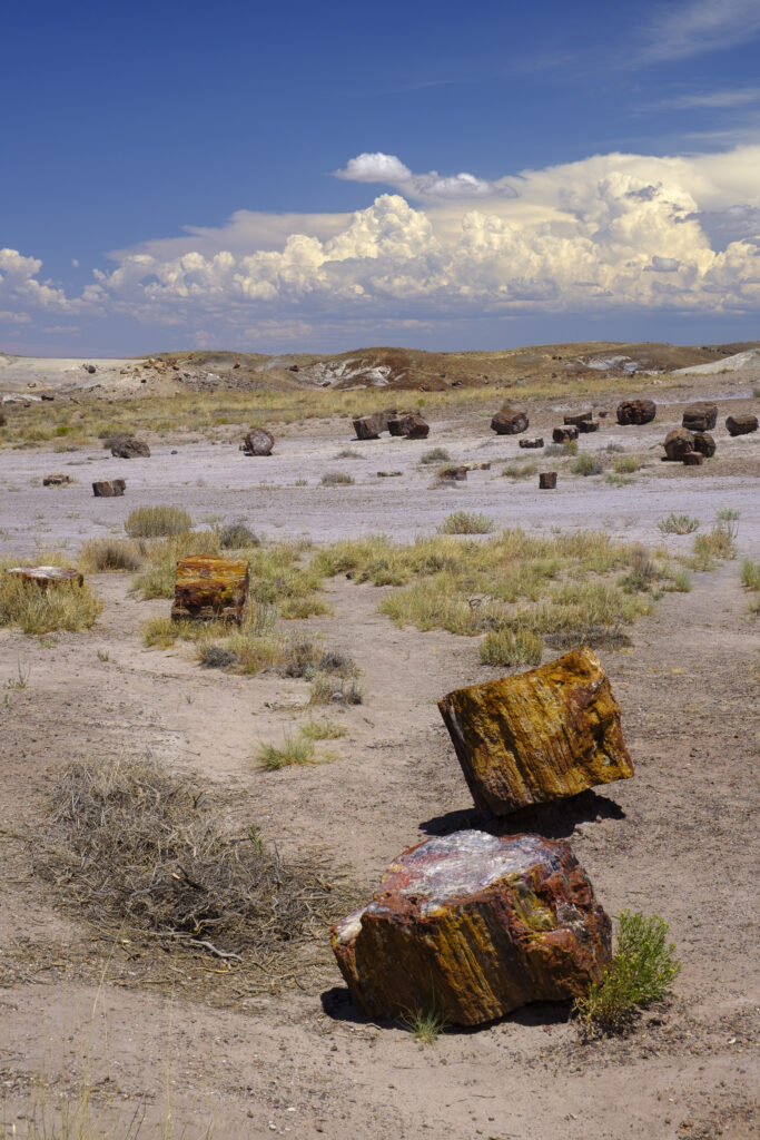 United States of America, Ariziona, Petrified Forest National Pa