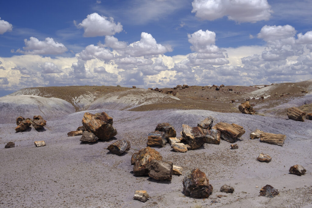 United States of America, Ariziona, Petrified Forest National Pa