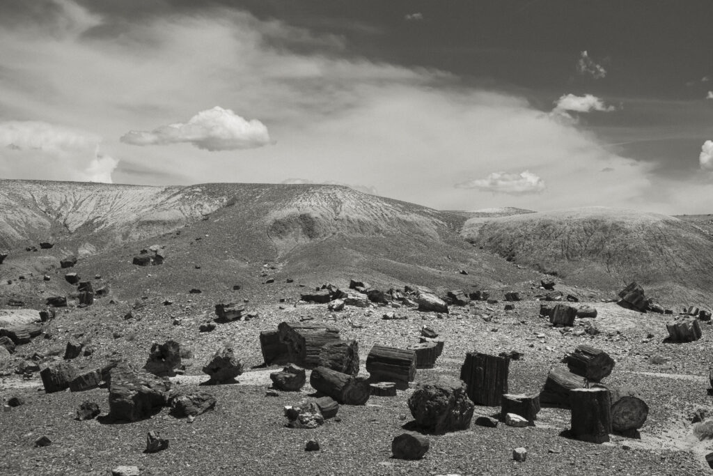 United States of America, Ariziona, Petrified Forest National Pa