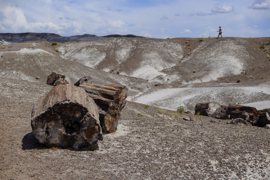 United States of America, Ariziona, Petrified Forest National Pa