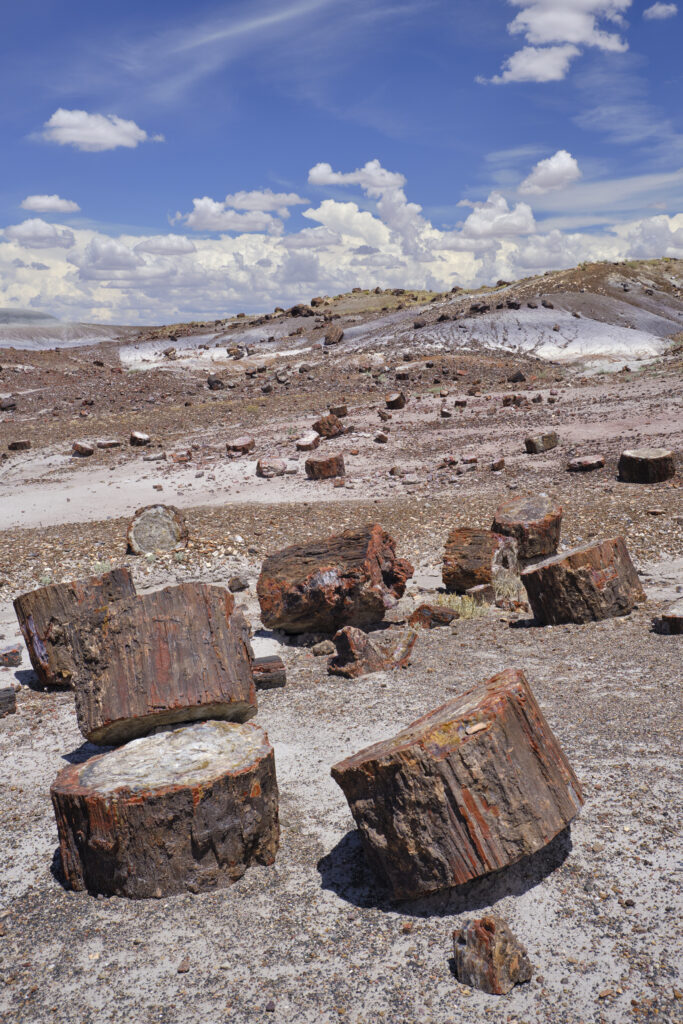 United States of America, Ariziona, Petrified Forest National Pa