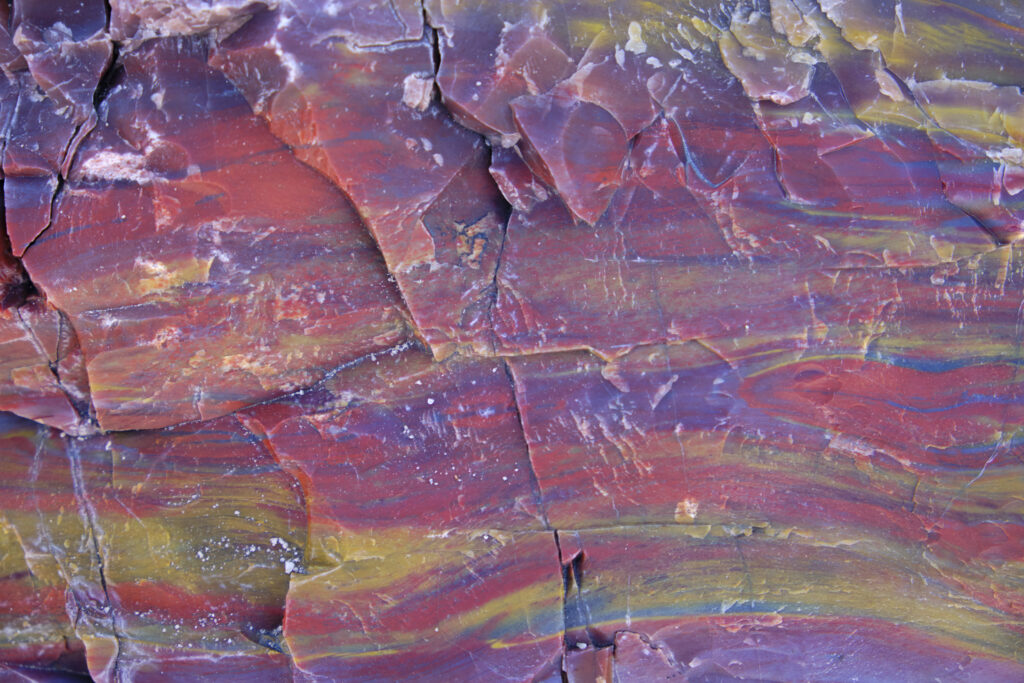 United States of America, Ariziona, Petrified Forest National Pa