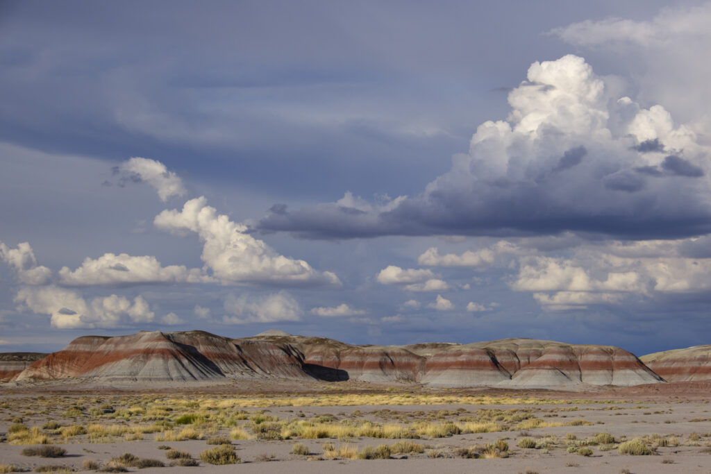United States of America, Ariziona, Petrified Forest National Pa