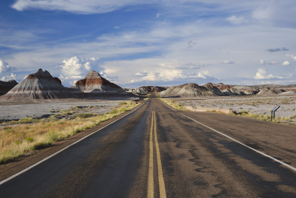 United States of America, Ariziona, Petrified Forest National Pa