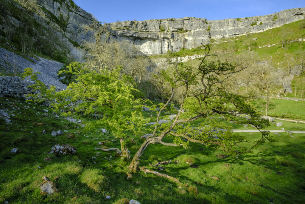England, North Yorkshire, Yorkshire Dales National Park.