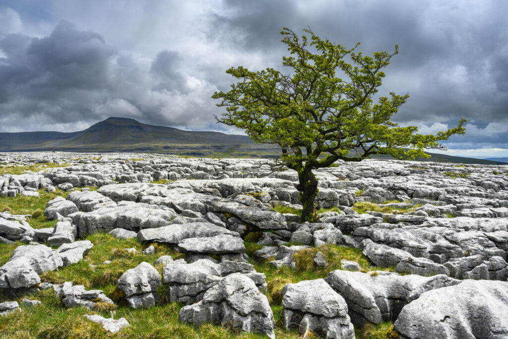 England, North Yorkshire, Yorkshire Dales National Park.