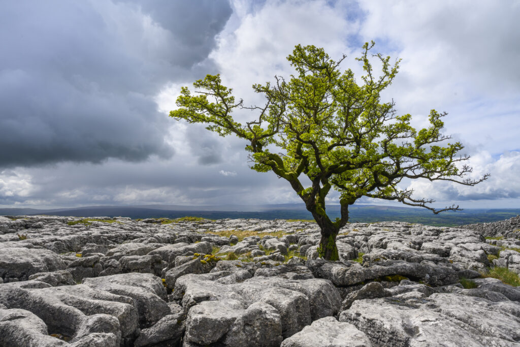 England, North Yorkshire, Yorkshire Dales National Park.