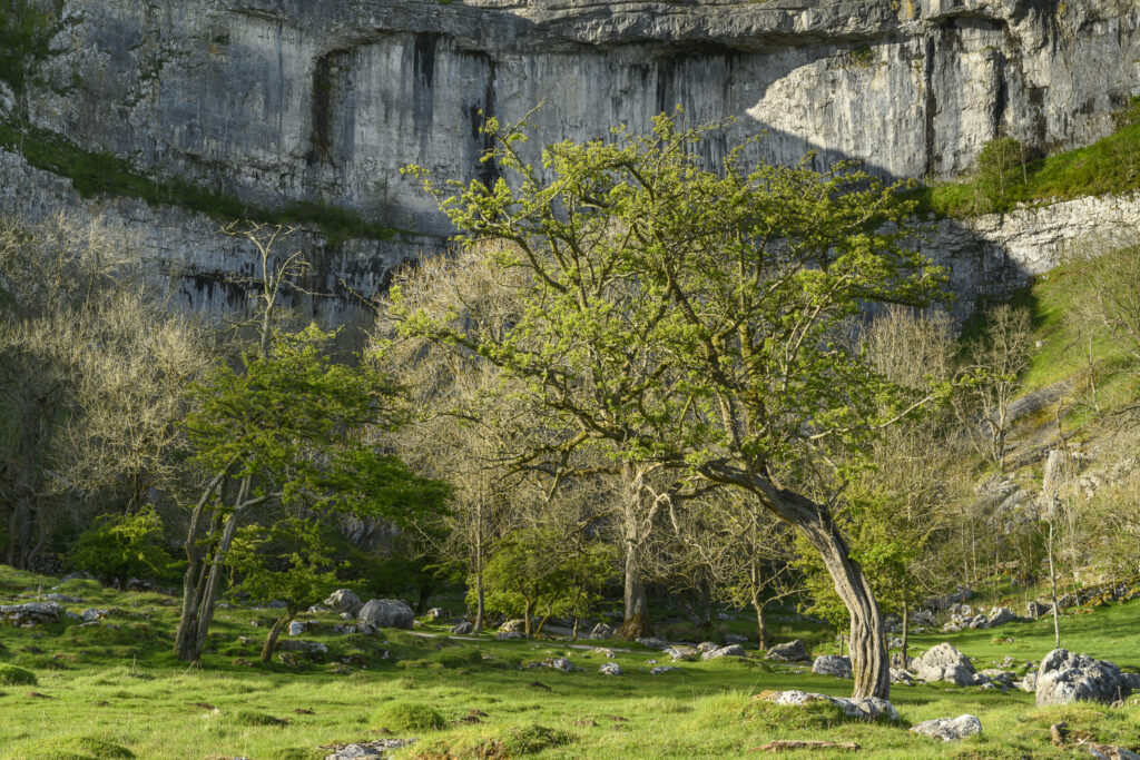 England, North Yorkshire, Yorkshire Dales National Park.