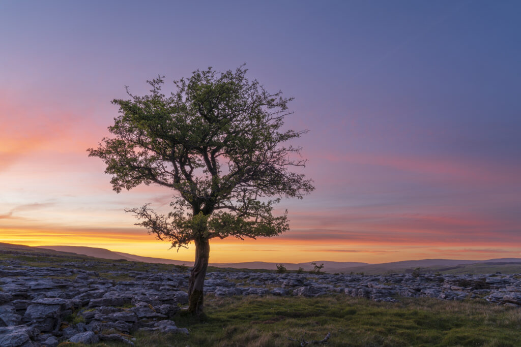 England, North Yorkshire, Yorkshire Dales National Park.