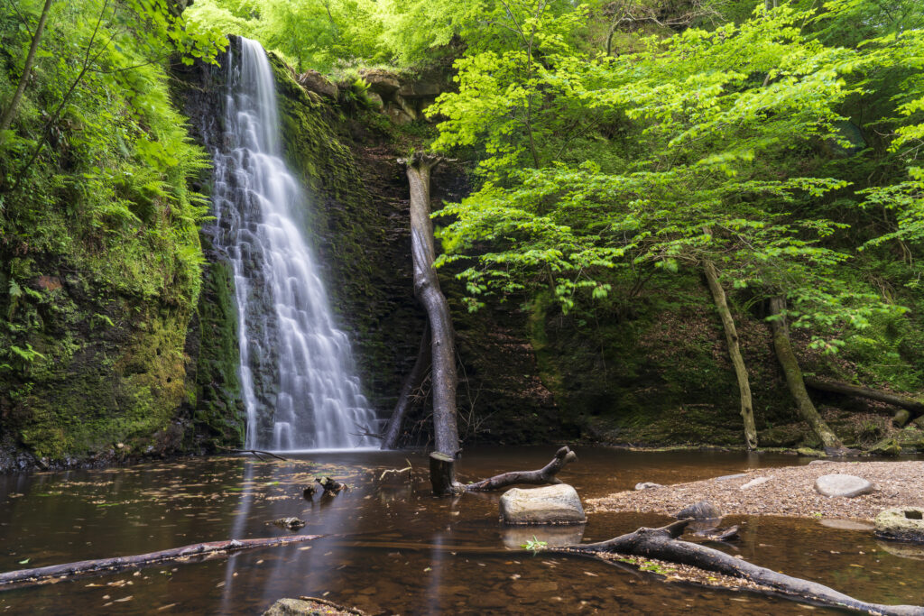England, North Yorkshire, Yorkshire Dales National Park.