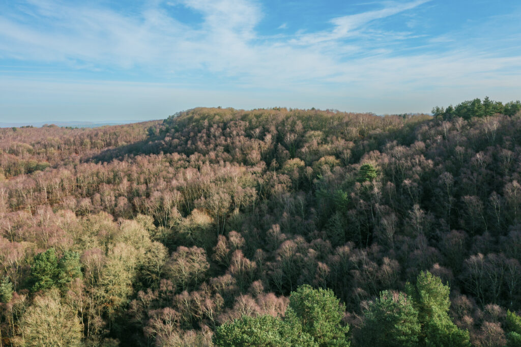 England, West Midlands, Kinver Edge.