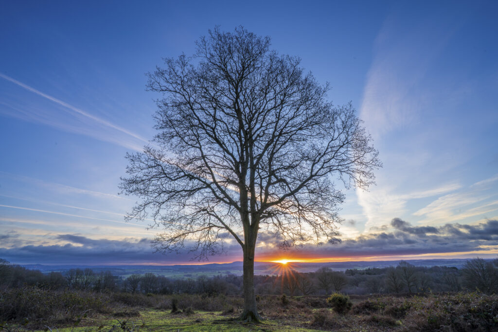 England, West Midlands, Kinver Edge.