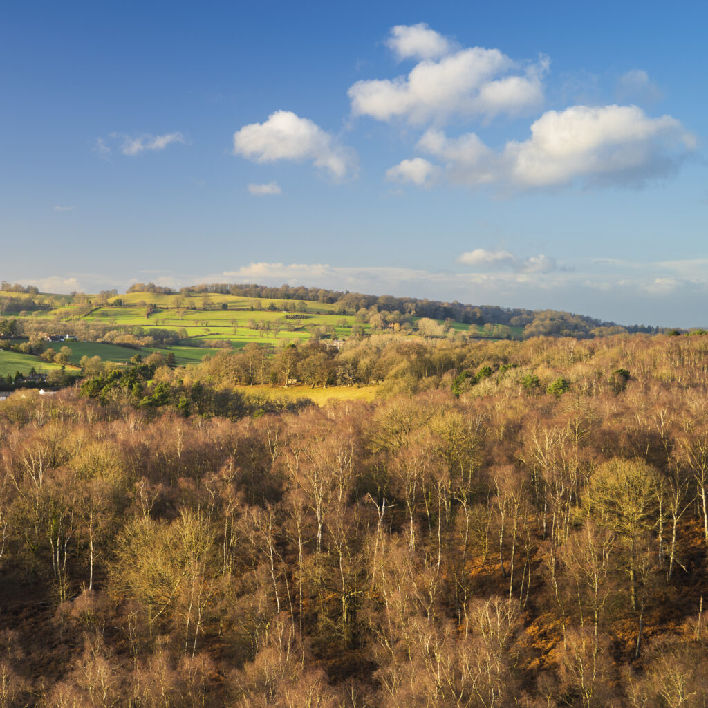 England, West Midlands, Kinver Edge.