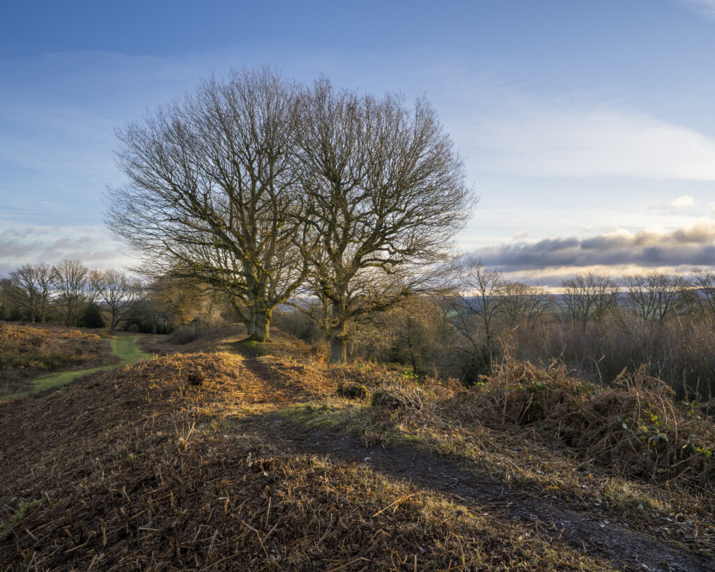 England, West Midlands, Kinver Edge.