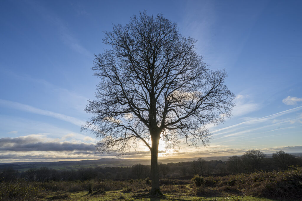 England, West Midlands, Kinver Edge.