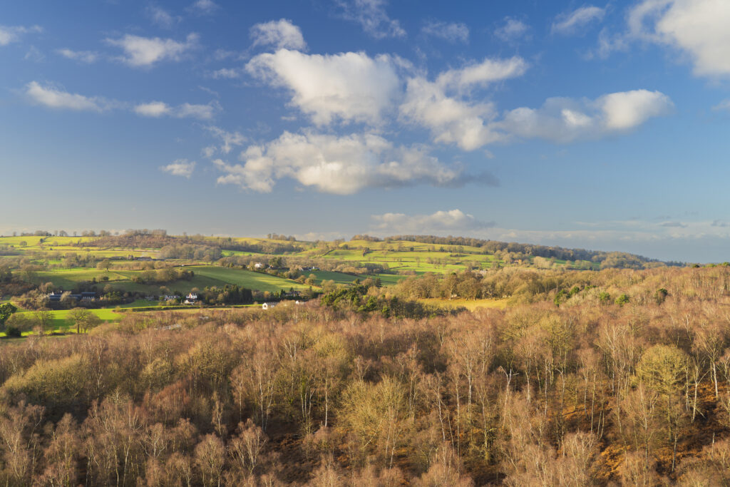 England, West Midlands, Kinver Edge.