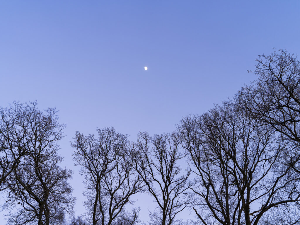 England, West Midlands, Kinver Edge.