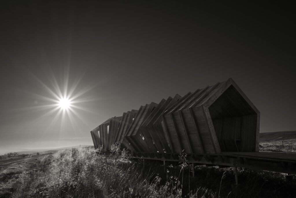 England, Northumberland, Kielder Forest.