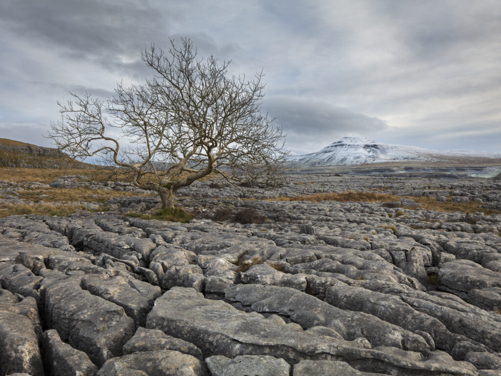 England, North Yorkshire, Yorkshire Dales National Park.