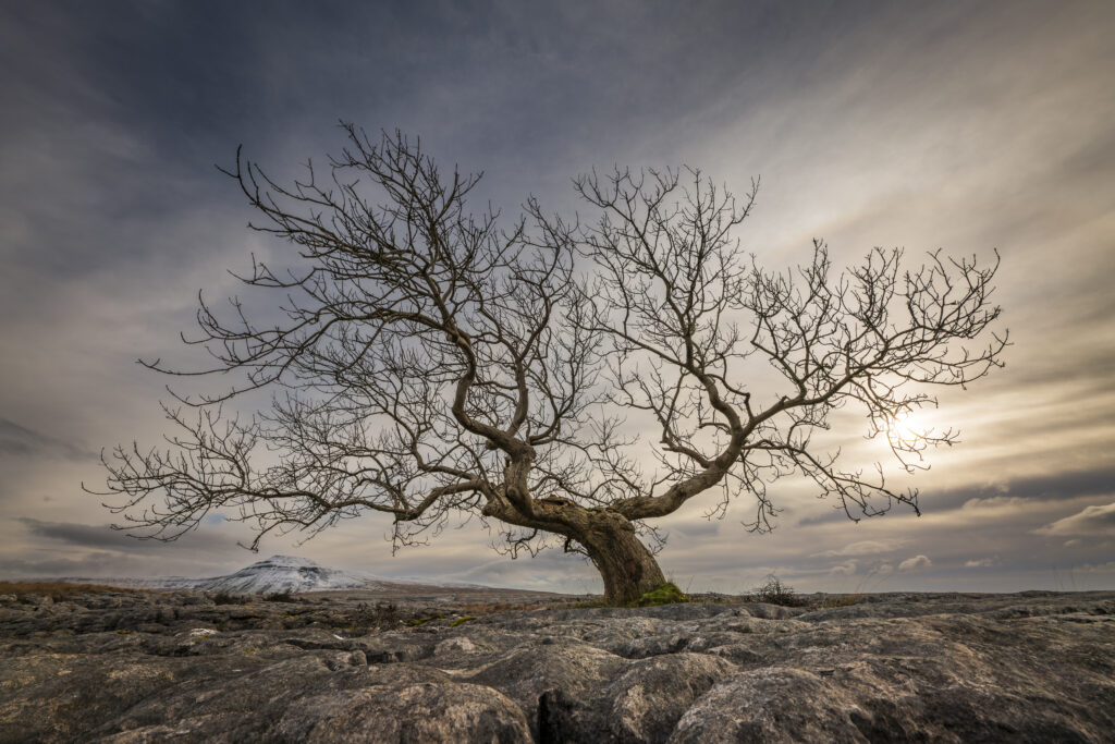 England, North Yorkshire, Yorkshire Dales National Park.