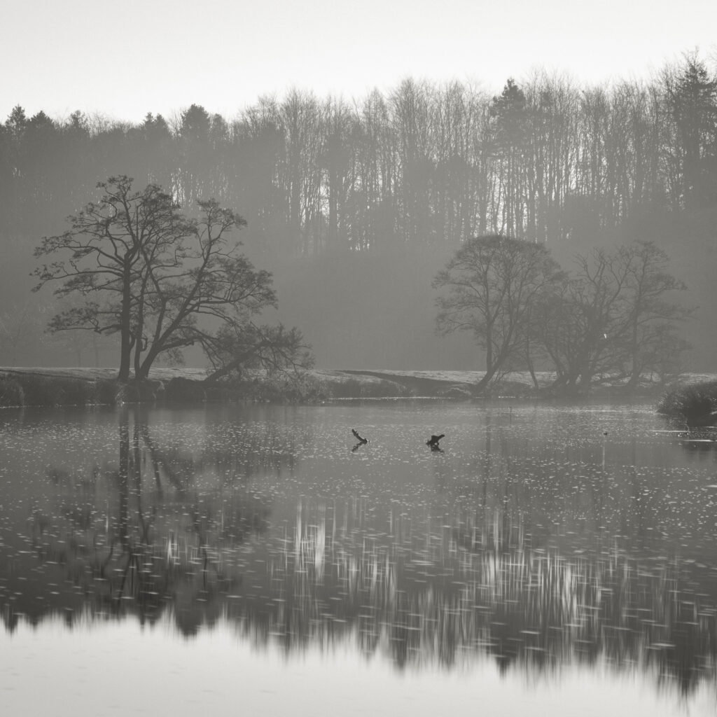 England, Northumberland, Alnwick.