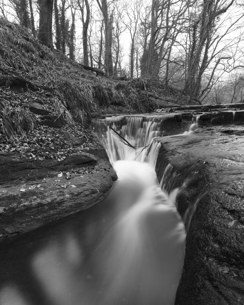 England, Northumberland, Holywell Dene.